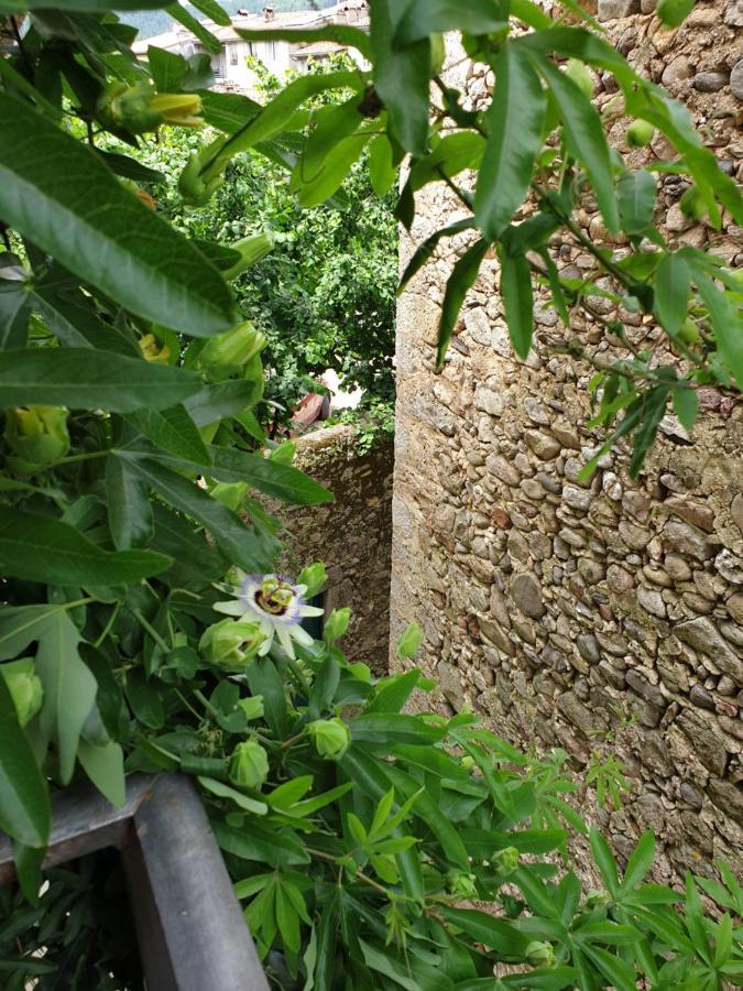 Duplex Avec Spa Et Terrasse En Plein Centre Du Village แซ็ง-ฌอง-ดู-การ์ ภายนอก รูปภาพ